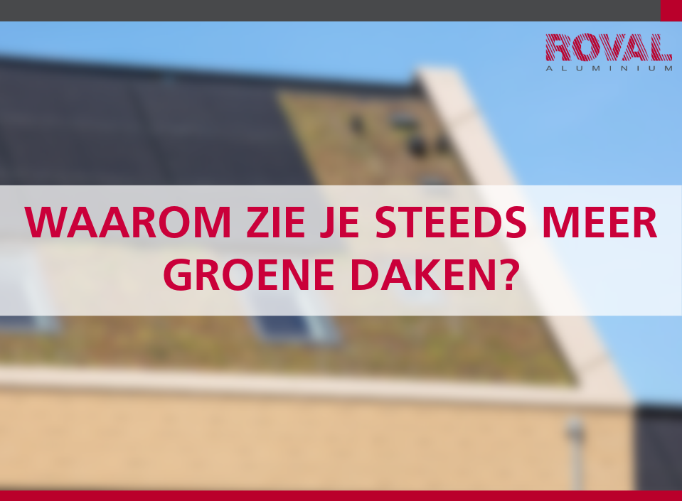 Waarom zie je steeds meer groene daken?